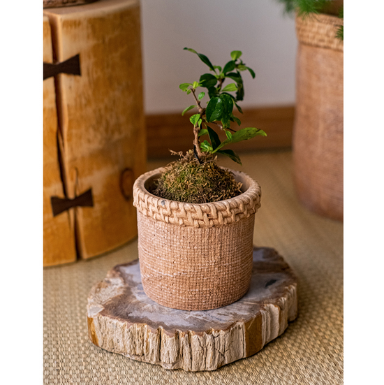 Straw Looking Concrete Planter