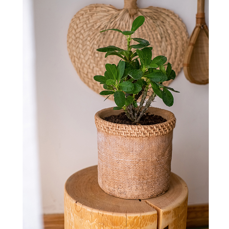 Straw Looking Concrete Planter