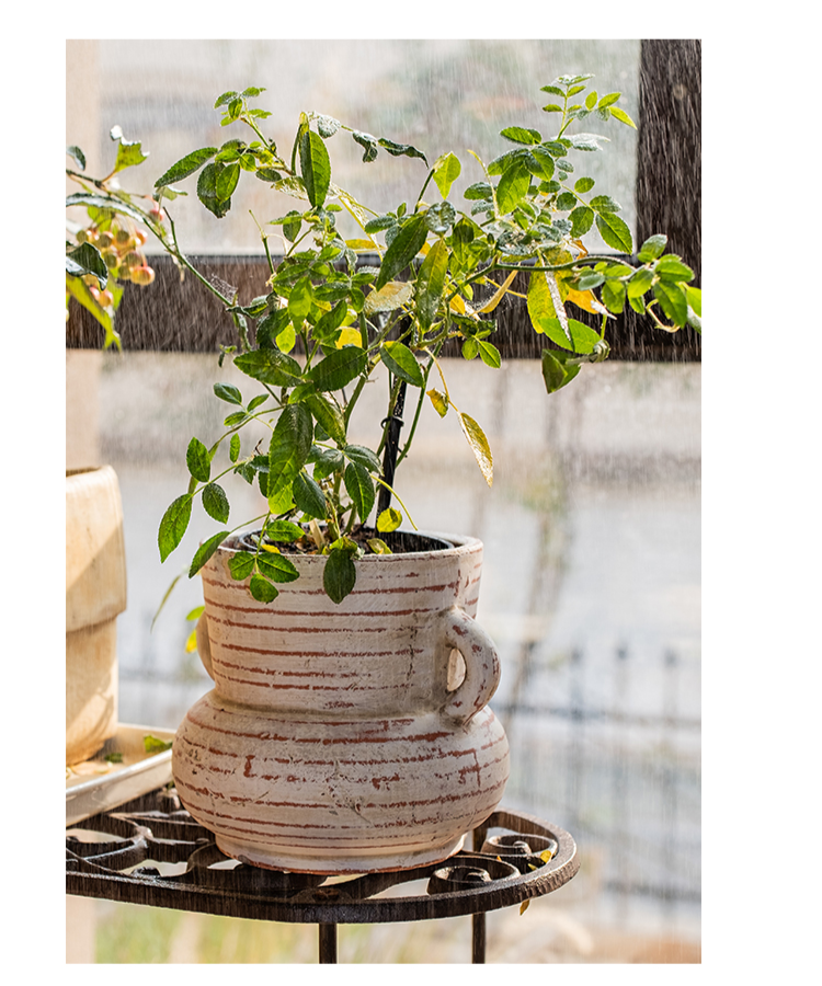 Terracotta Planter Vase with Handles