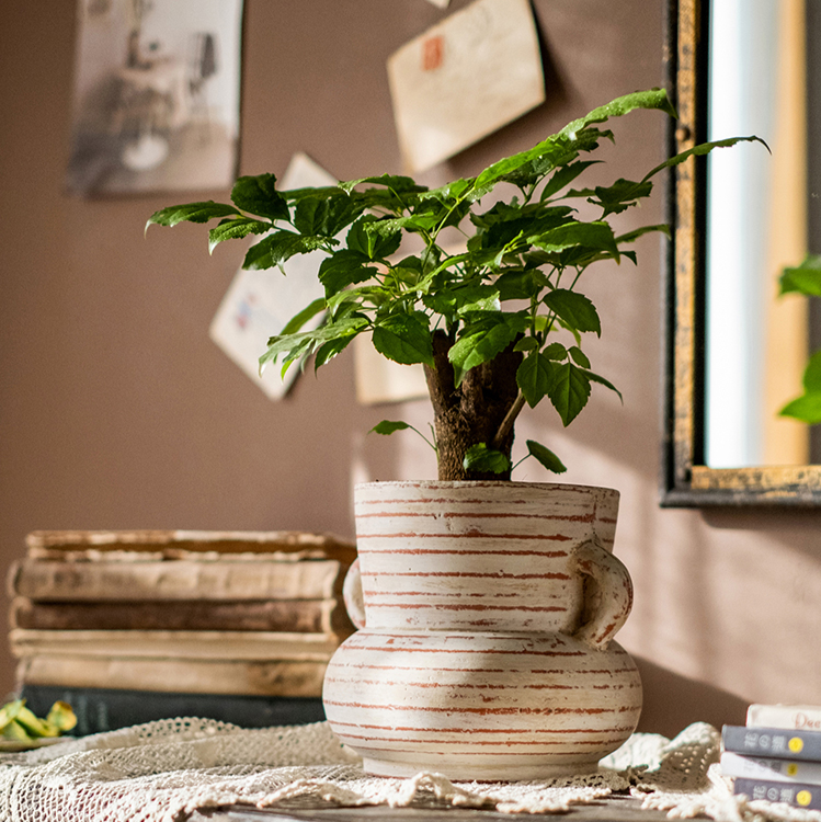 Terracotta Planter Vase with Handles