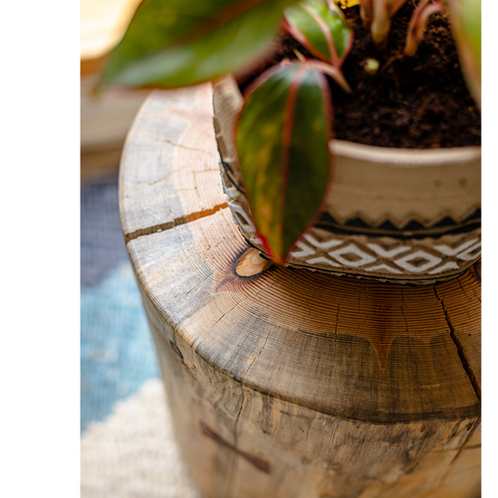 Pine Wood Pedestal Table Side Table