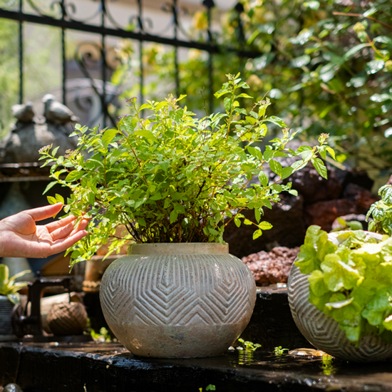 Yukun Terracotta Planter Pot