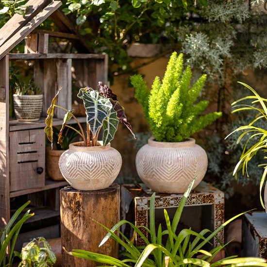 Yukun Terracotta Planter Pot