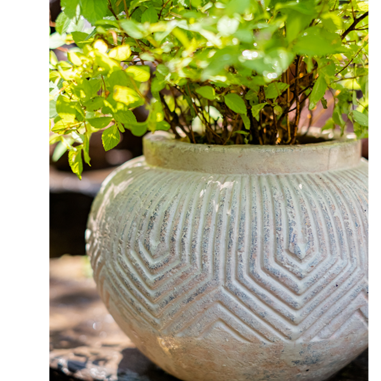 Yukun Terracotta Planter Pot