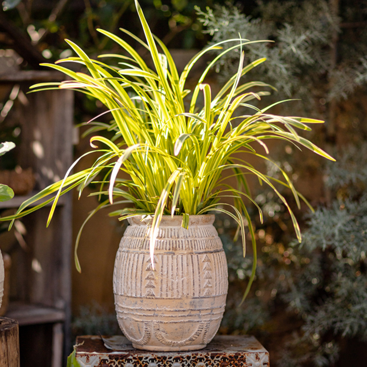 Yukun Terracotta Planter Stoneware