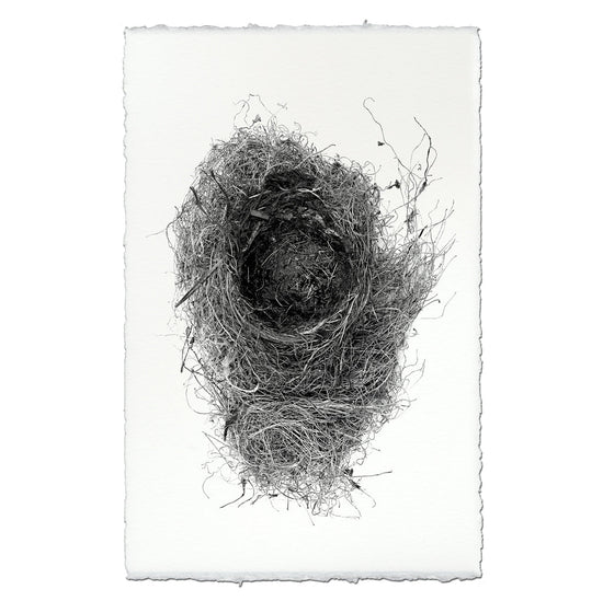 Nest Study #6