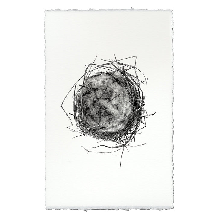 Nest Study #7