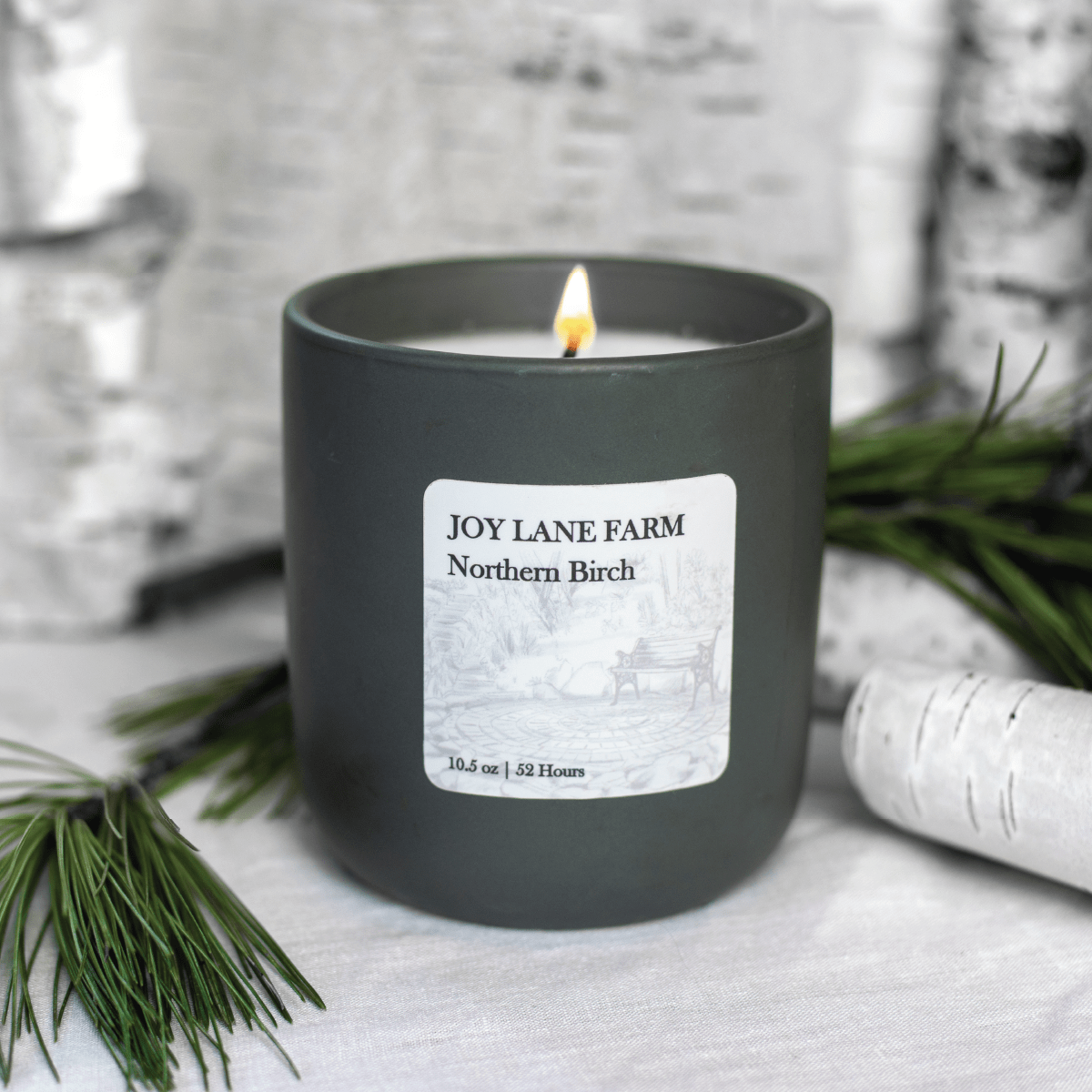 Northern Birch Ceramic Candle