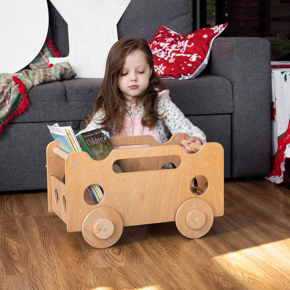 Montessori Toy Organizer