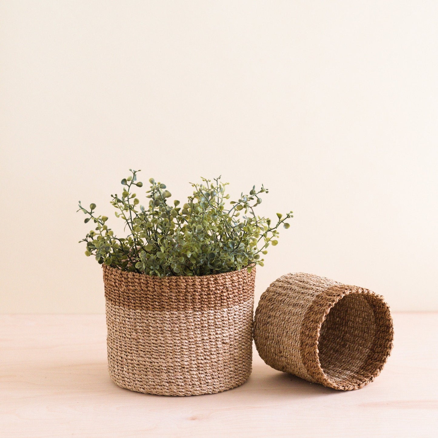 Natural and Brown Tabletop Bins, Set of 2