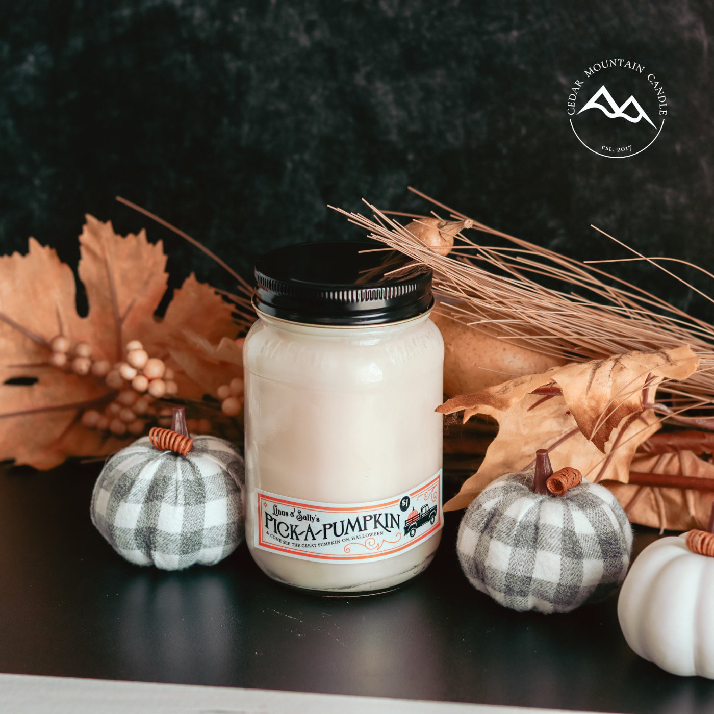 Pumpkin Patch Mason Jar Candle - Fall Scents