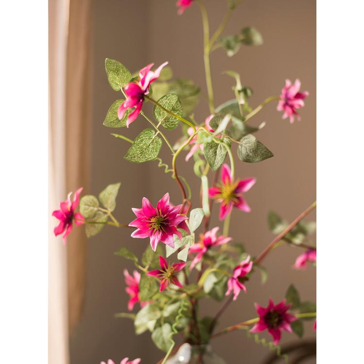 German Clematis Flower Stem in Rose Pink 40" Tall