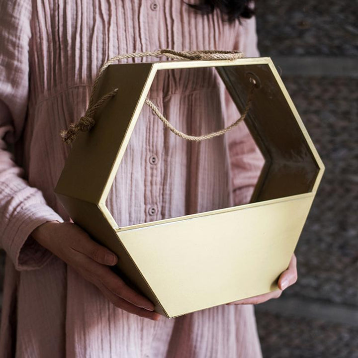 Gold Metal Planter Hexagon Hanging Planter