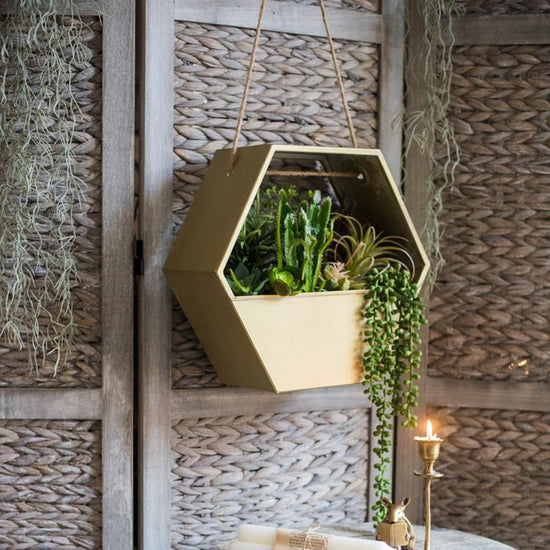 Gold Metal Planter Hexagon Hanging Planter