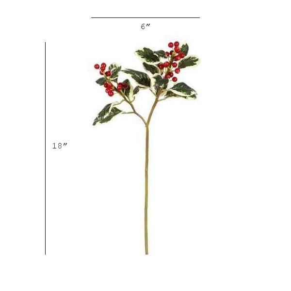 Variegated Holly Stem, 18"