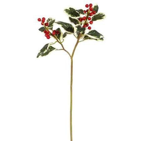 Variegated Holly Stem, 18"