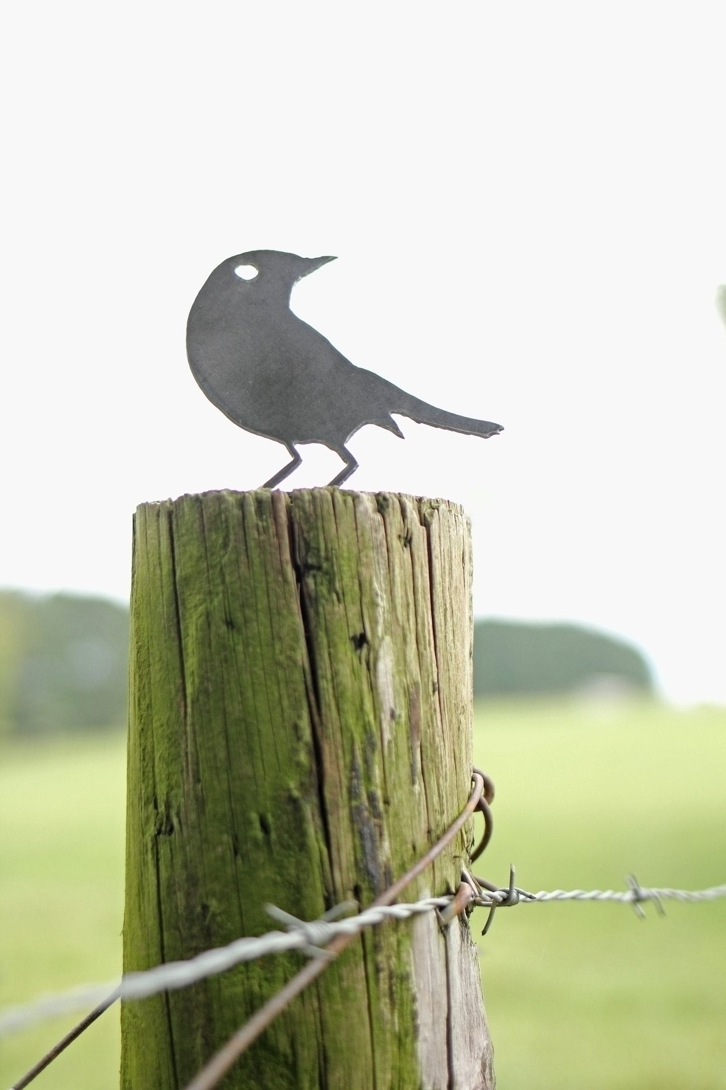 Metal Sparrow Statue