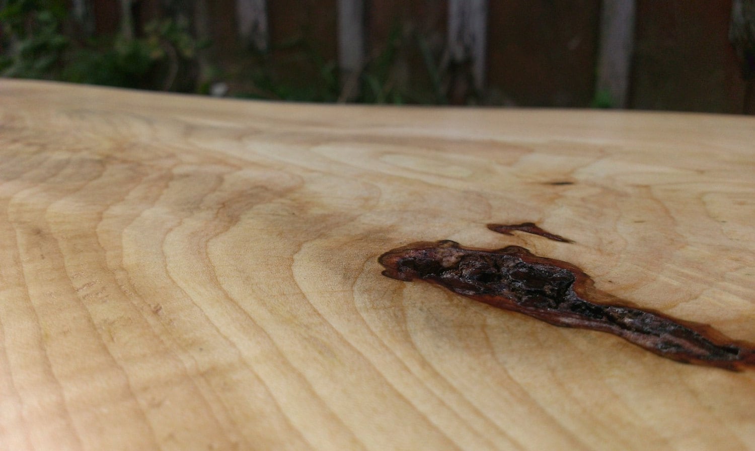 Live Edge Coffee Table