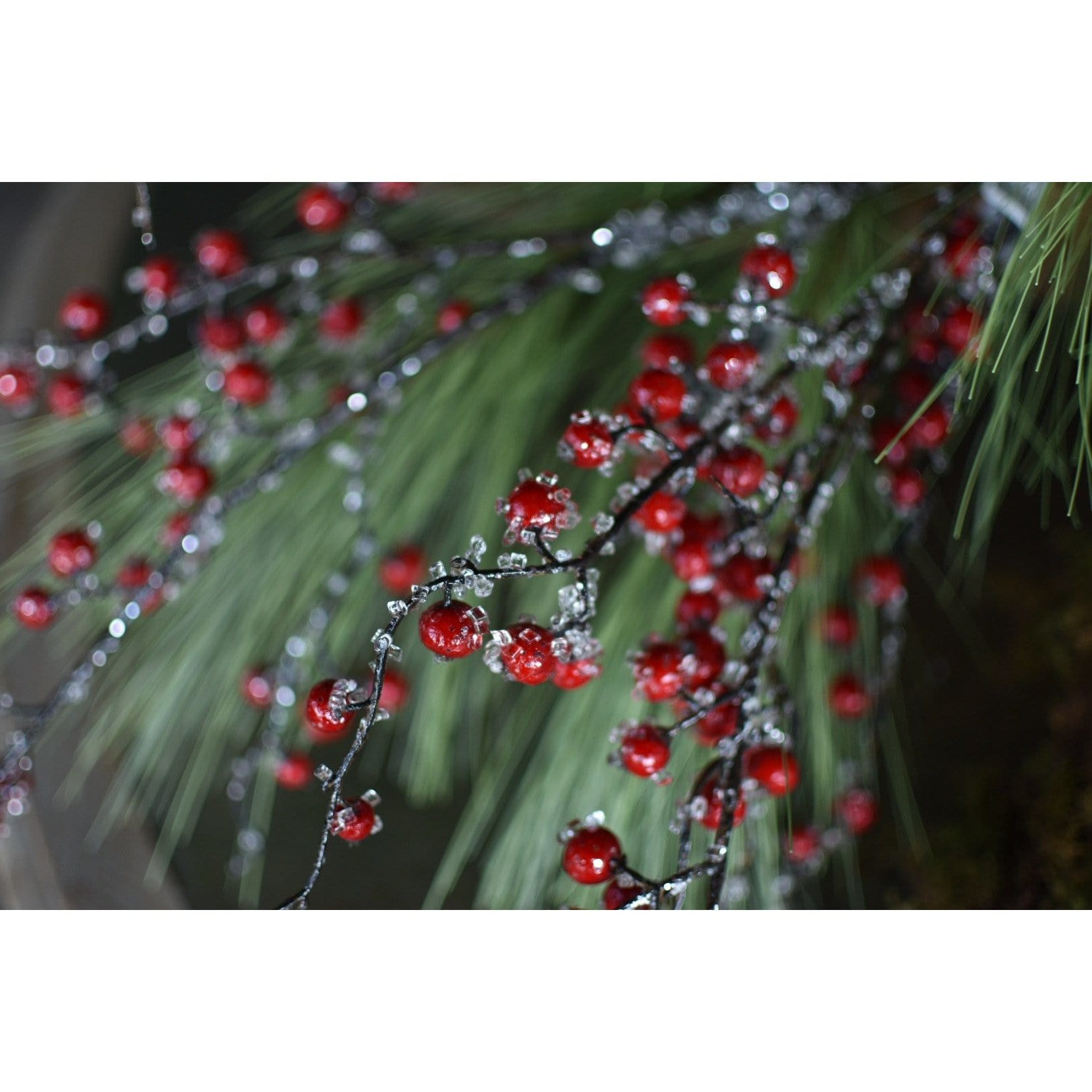 Iced Berry Stem, 29", Red