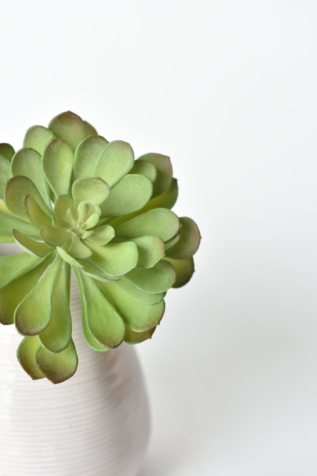 Soft Aeonium Succulent Pick, 6"