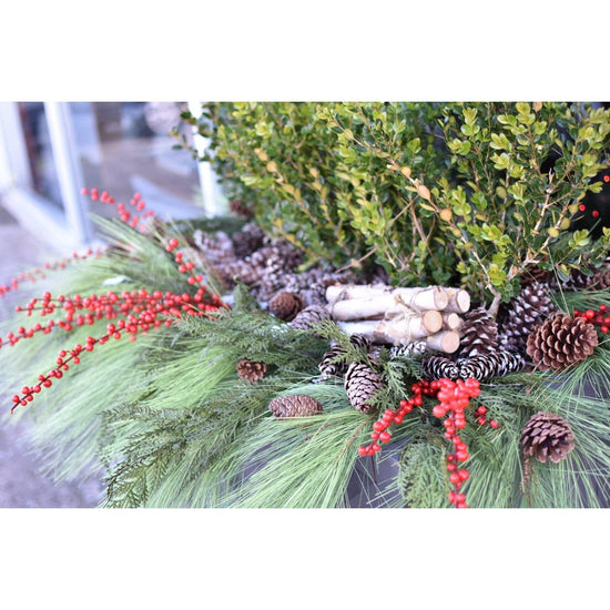 Outdoor Berry Stem, Red