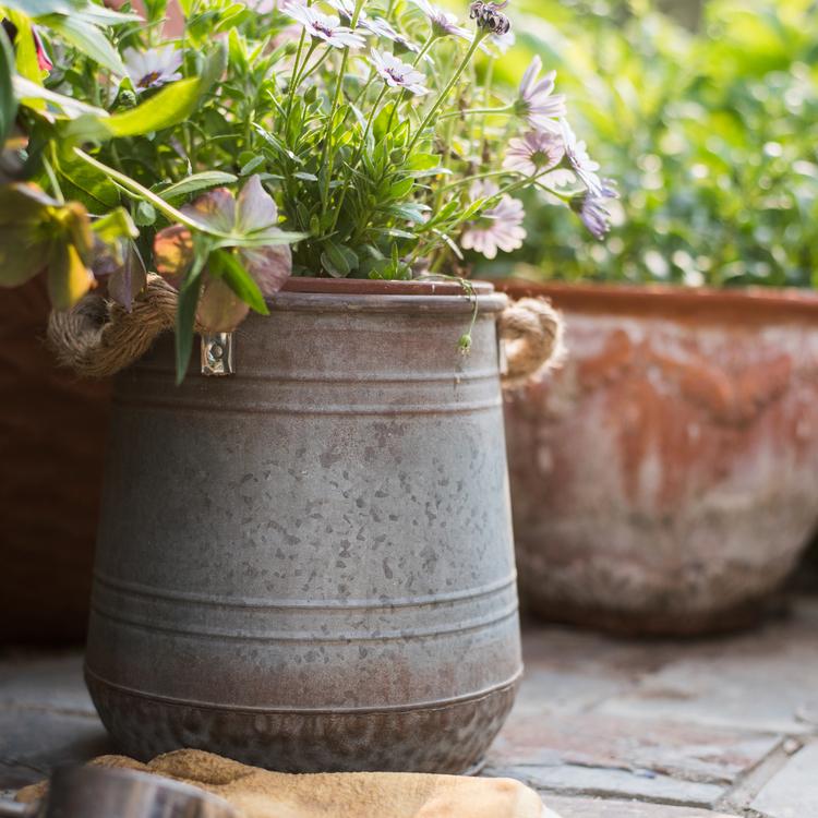 Metal Flower Pail with Rope Handles