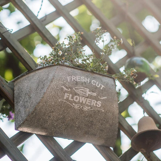 Iron Flower Wall Planter