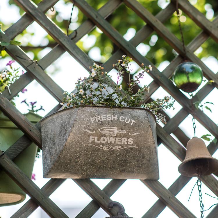 Iron Flower Wall Planter