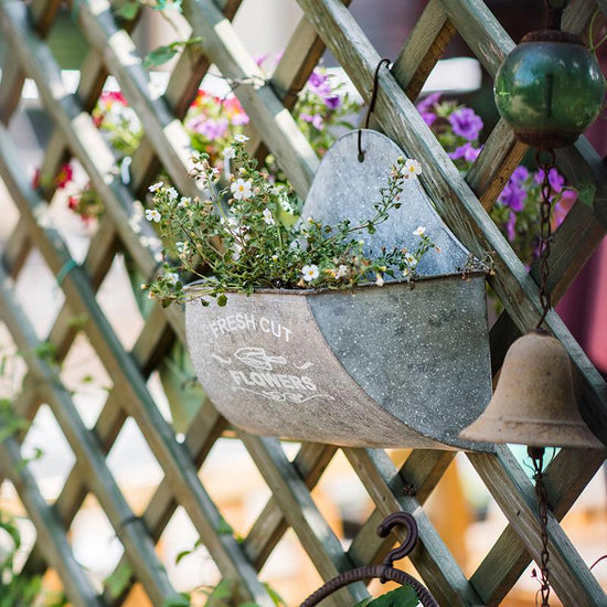 Iron Flower Wall Planter