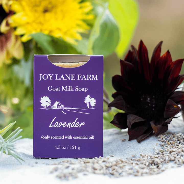 Lavender Exfoliating Soap