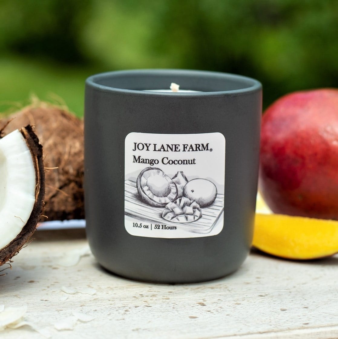 Mango Coconut Ceramic Candle