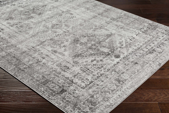 Nelsonville Polypropylene Rug