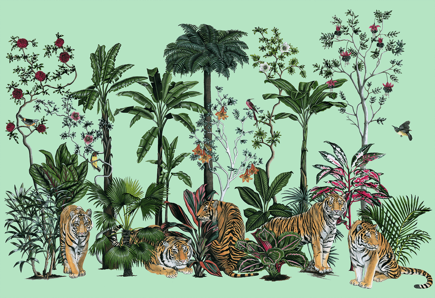 Tiger Summer in Green