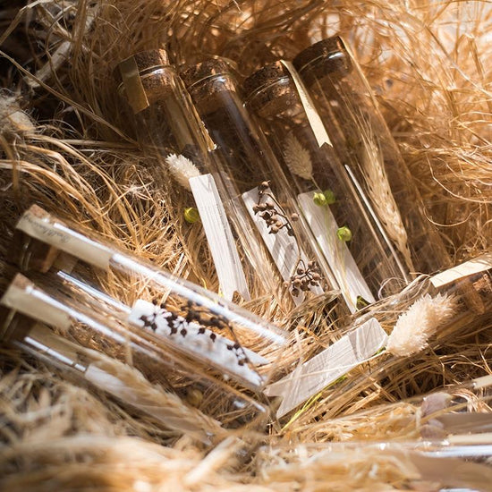 Natural Dried Flower in Glass Tube Randomly Picked Set of 5