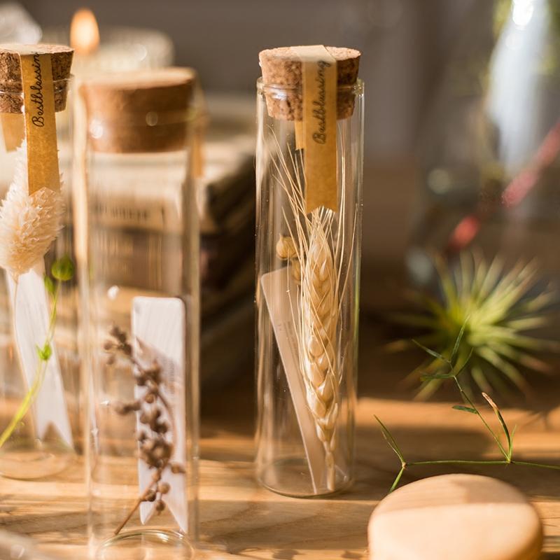 Natural Dried Flower in Glass Tube Randomly Picked Set of 5