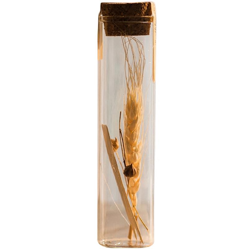 Natural Dried Flower in Glass Tube Randomly Picked Set of 5