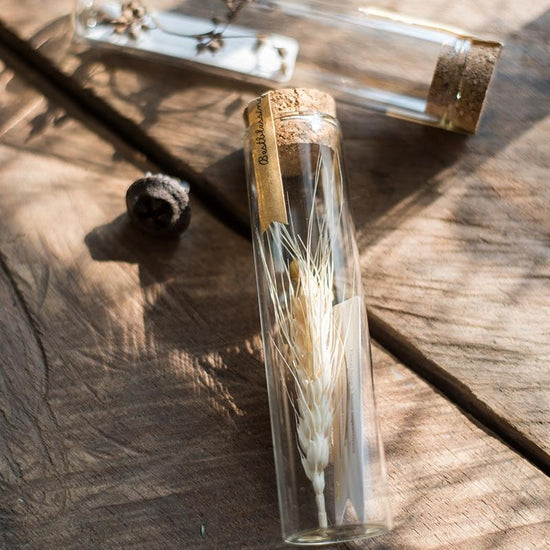 Natural Dried Flower in Glass Tube Randomly Picked Set of 5