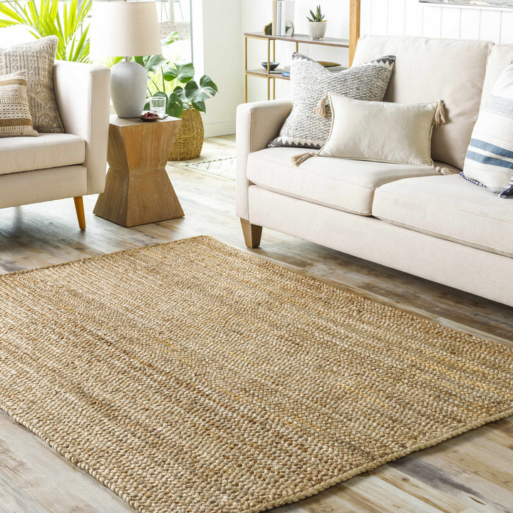 Shippagan Braided Jute Rug, Tan