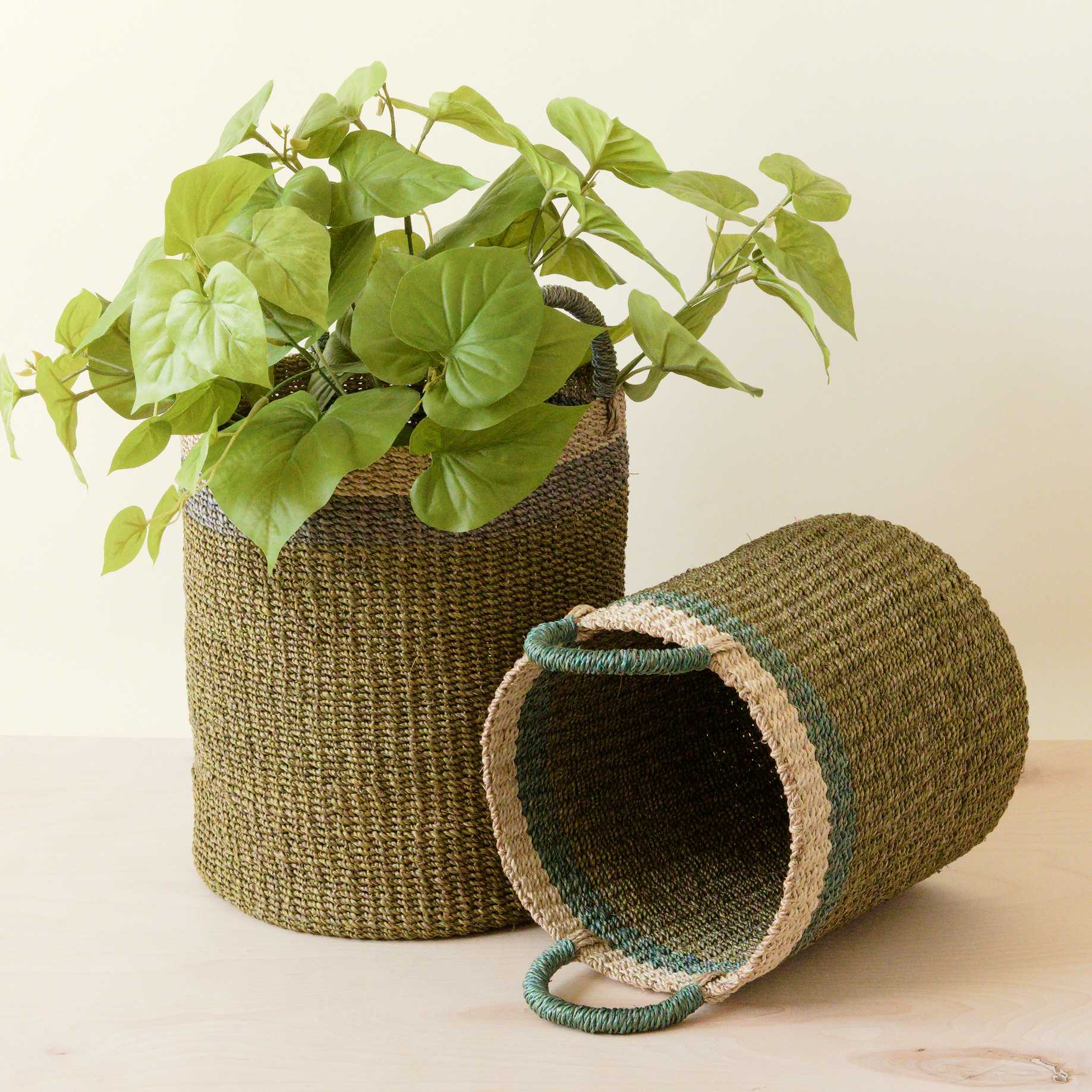 Olive Baskets with Handles, Set of 2