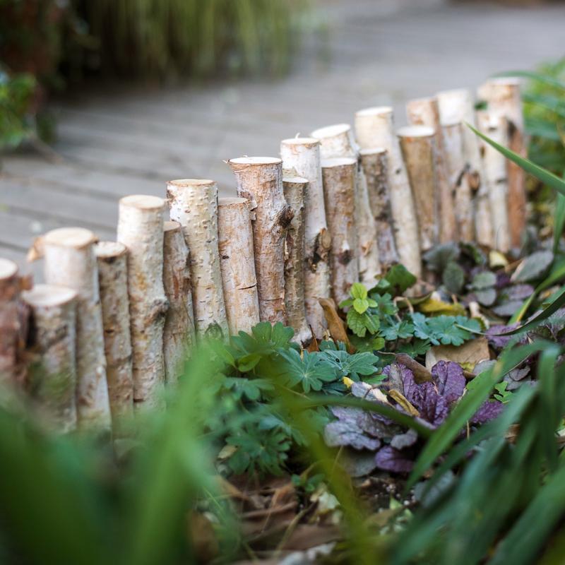 Paper Birch Small Wood Fence Décor