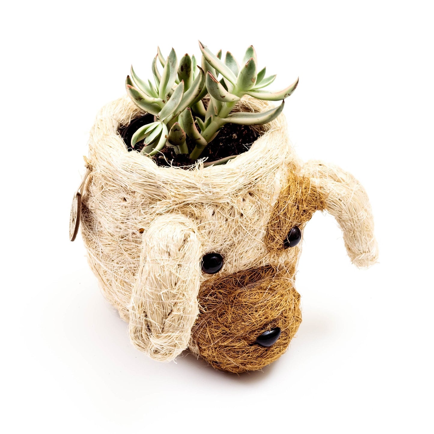 Puppy Planter