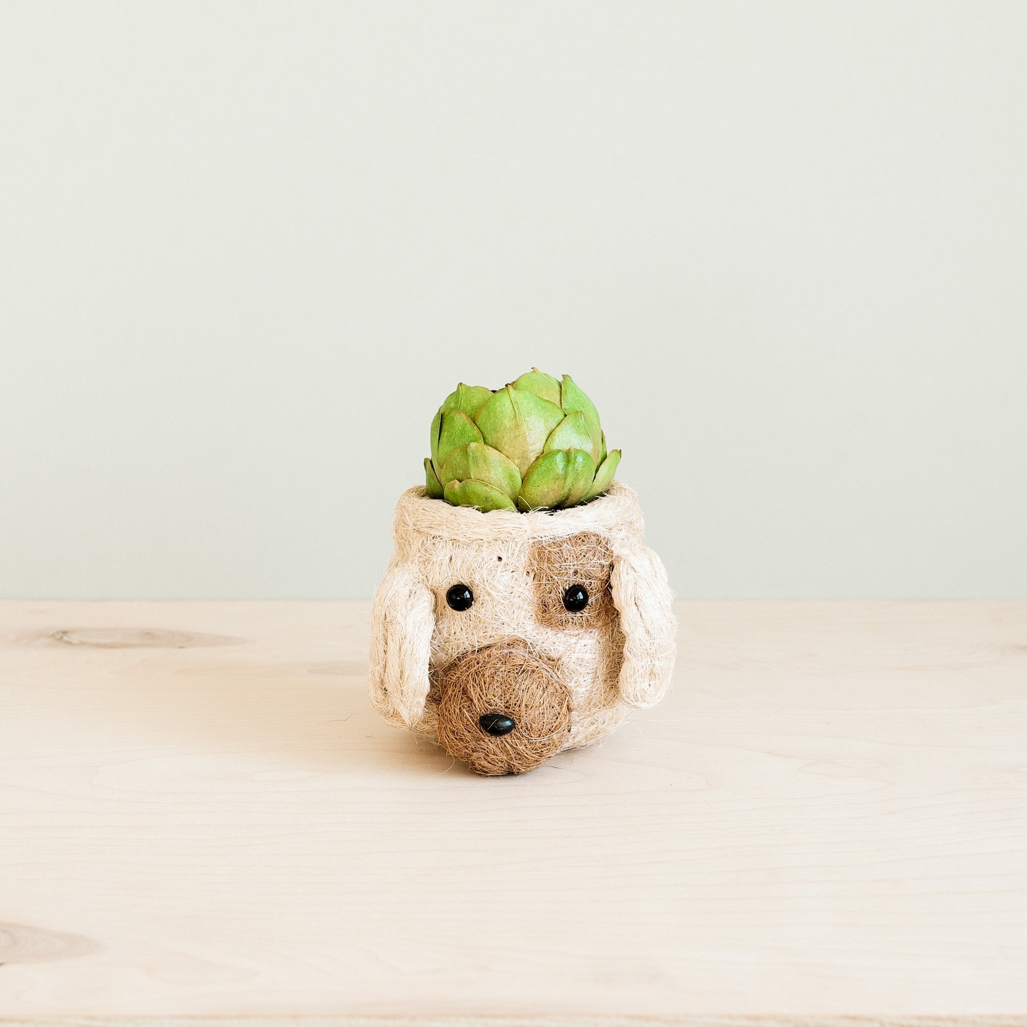 Puppy Planter