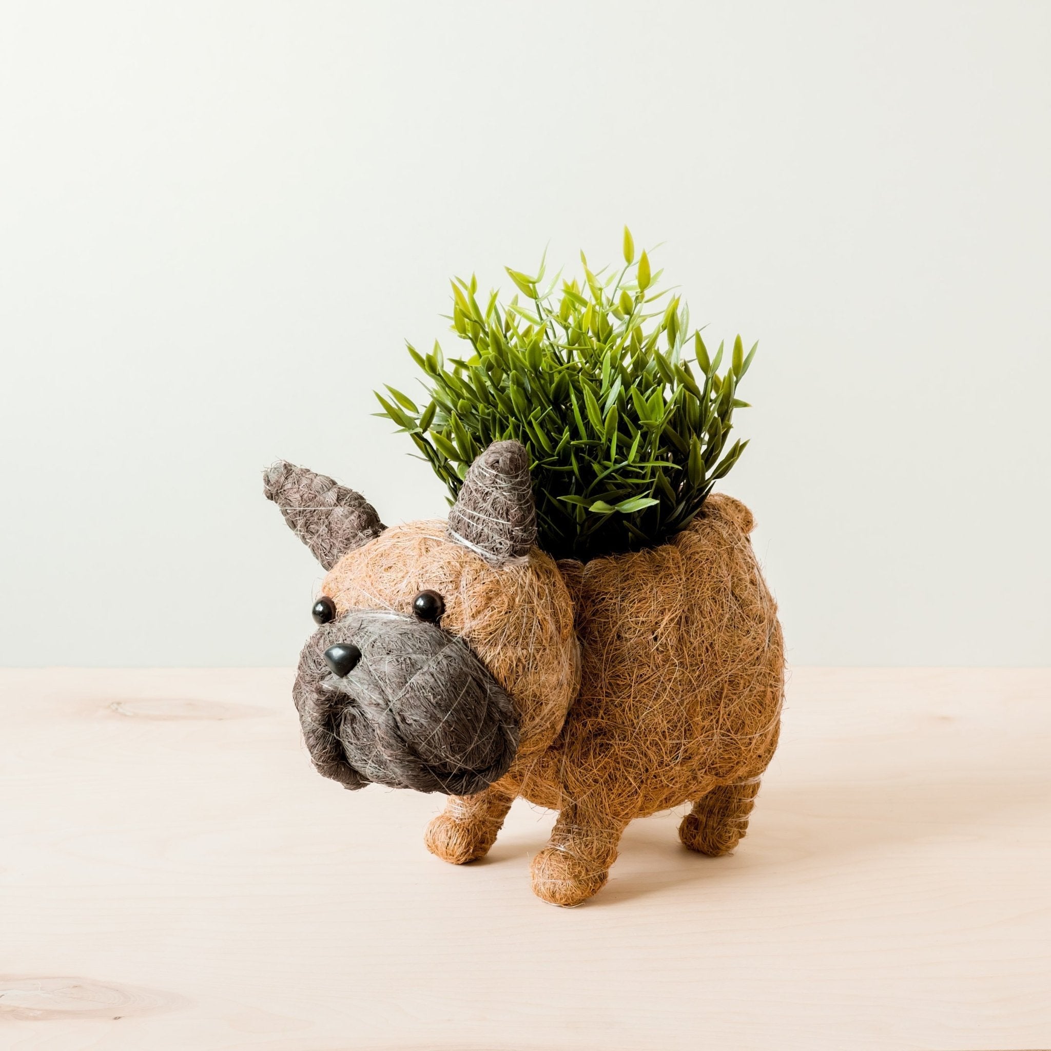 French Bulldog Planter