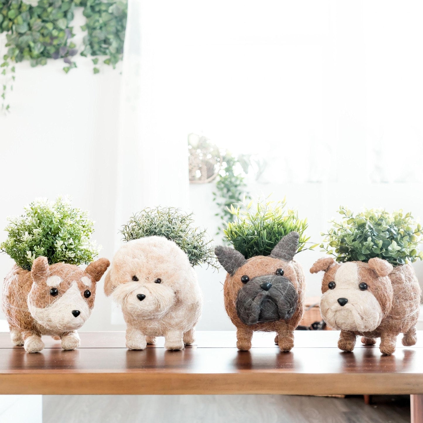 French Bulldog Planter