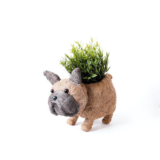 French Bulldog Planter