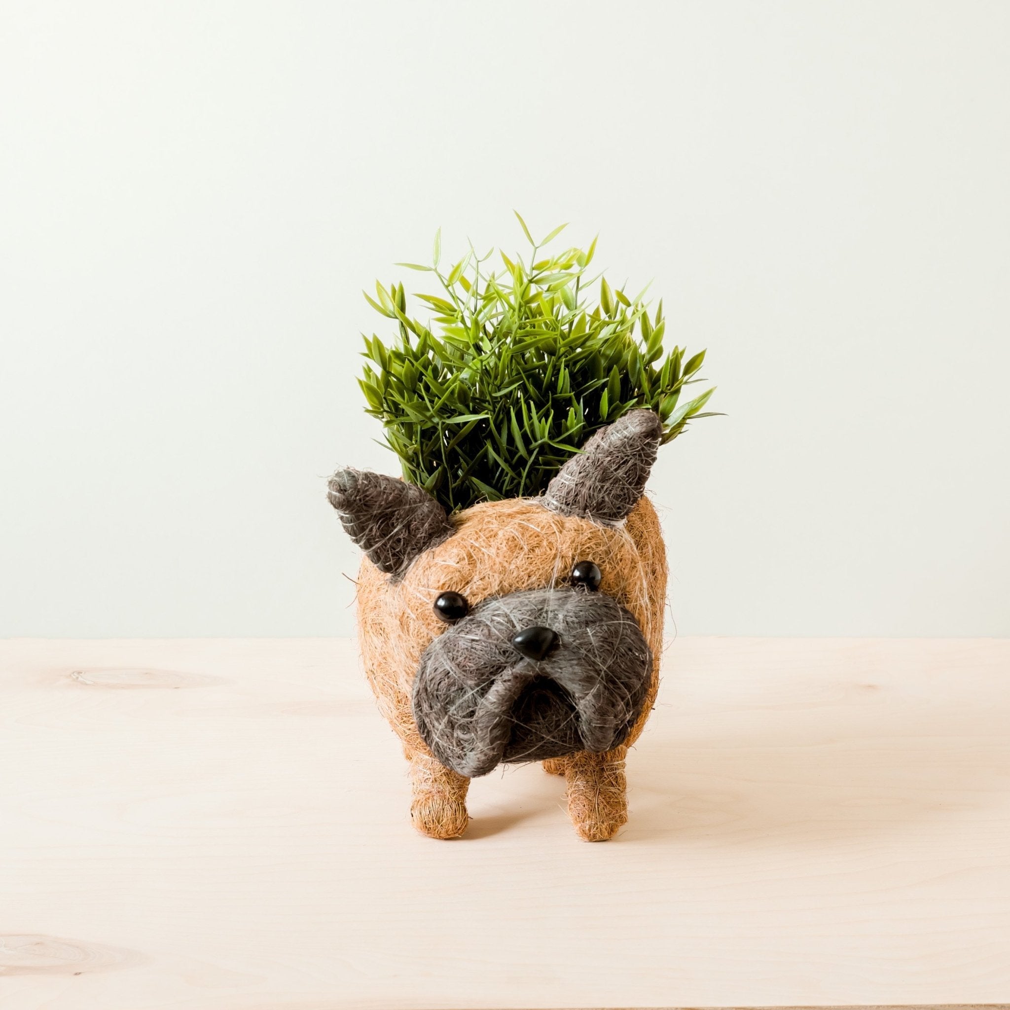 French Bulldog Planter