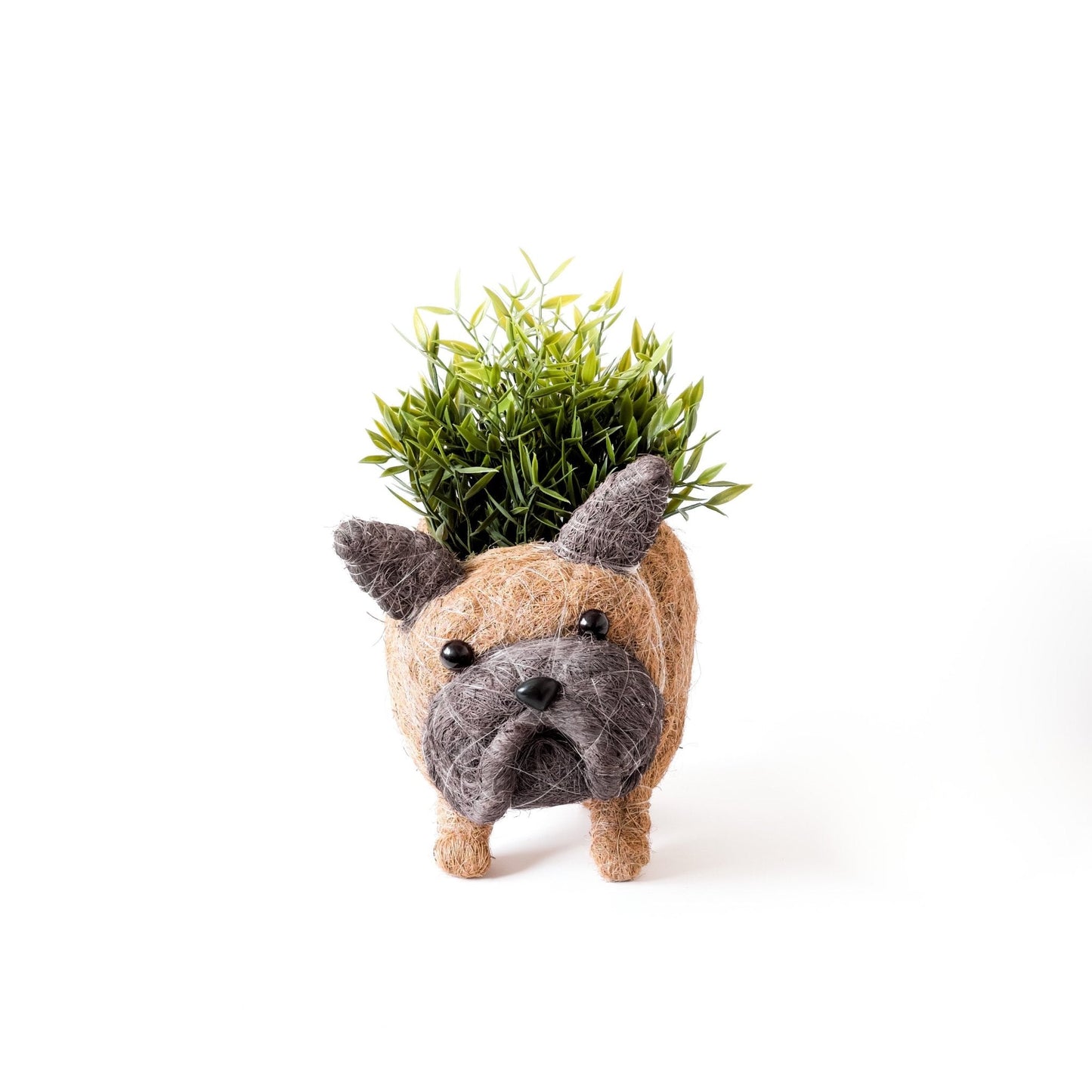 French Bulldog Planter