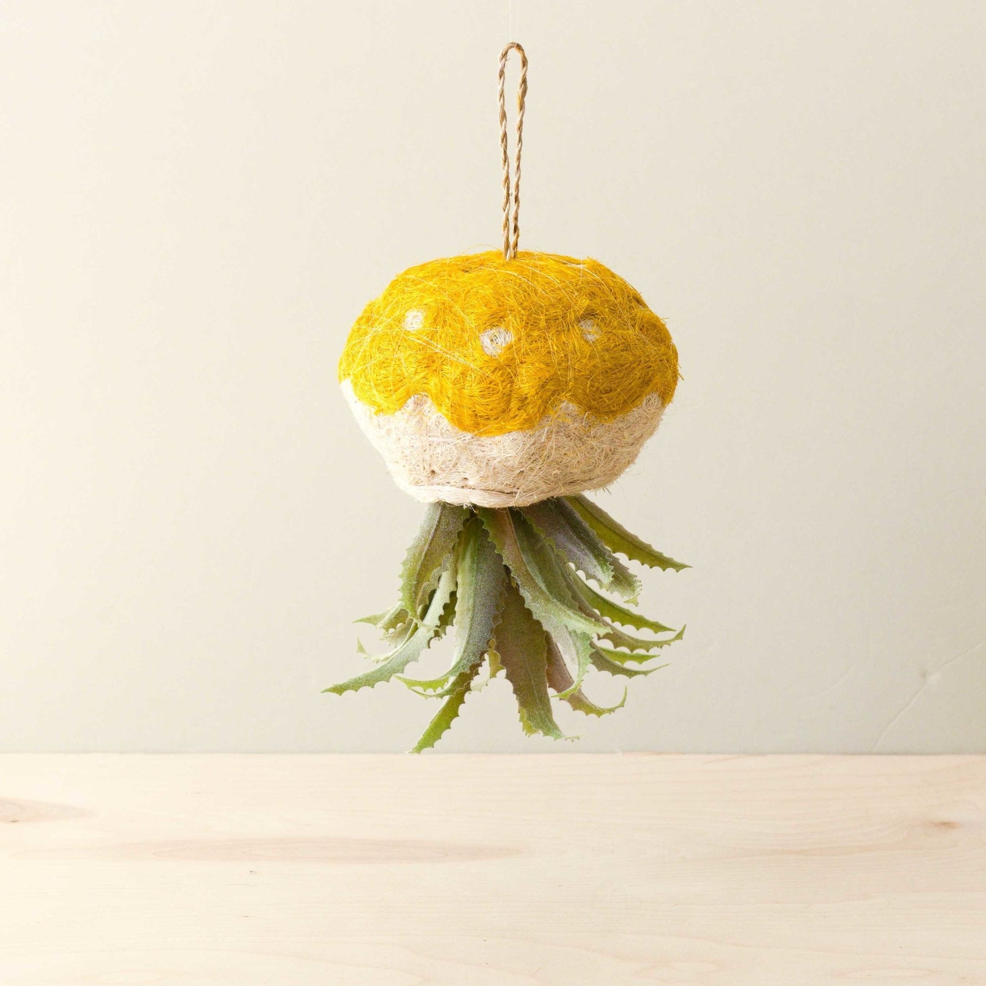 Jellyfish Air Planter