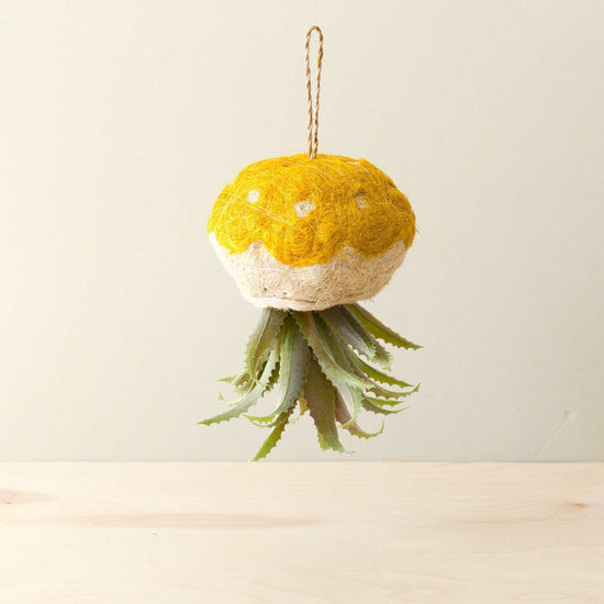 Jellyfish Air Planter