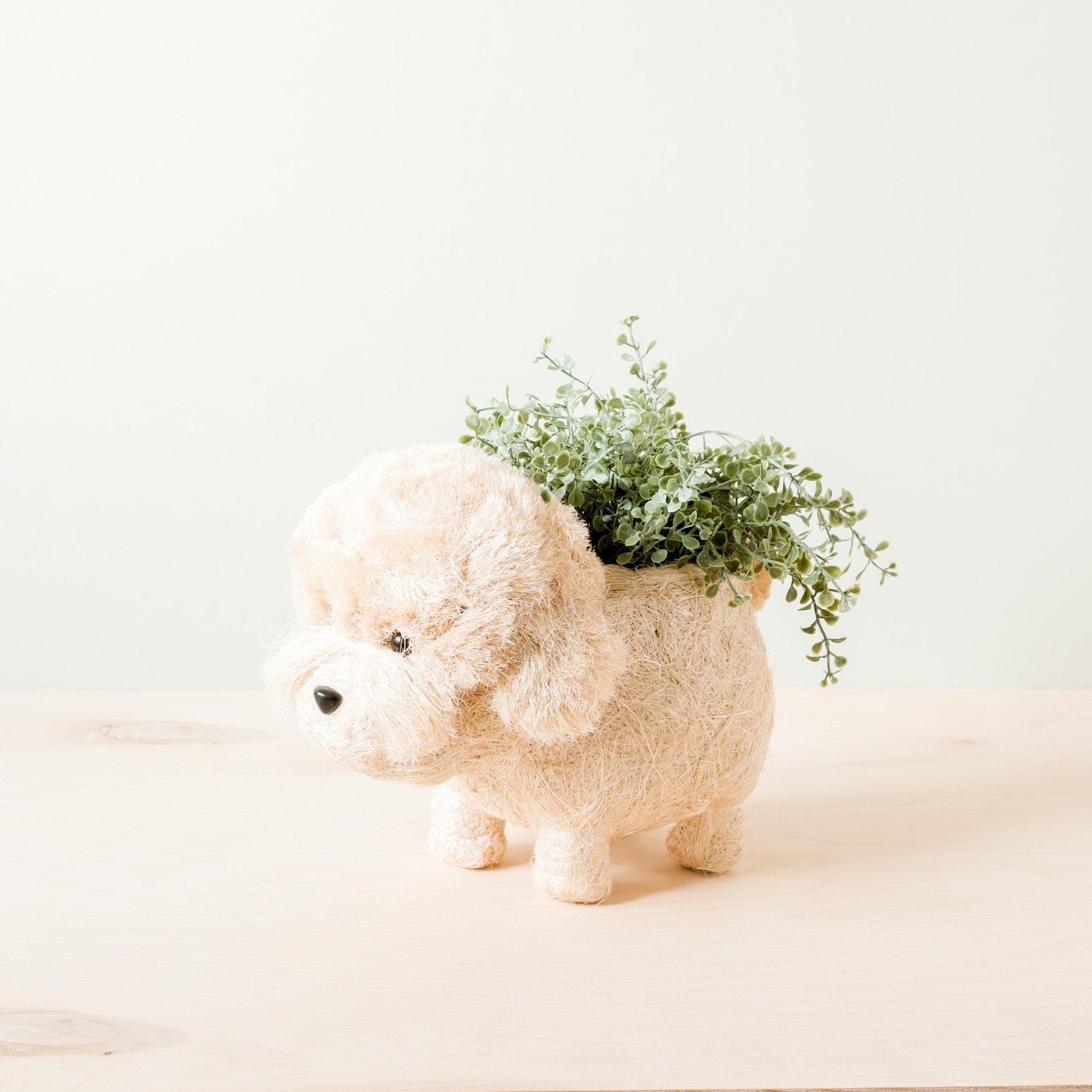 Poodle Planter